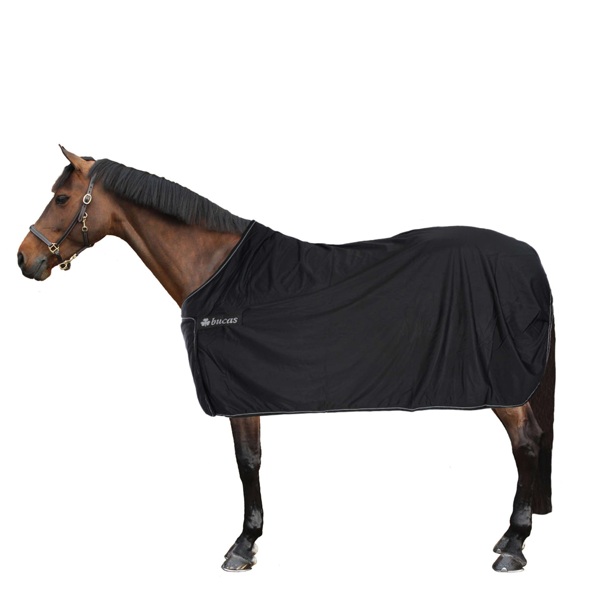 Bucas Price Cooler Pannello Black/Silver