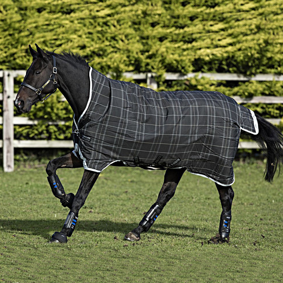 Rhino Wug Turnout Heavy Varilayer Nero/grigio/bianco a quadri e grigio