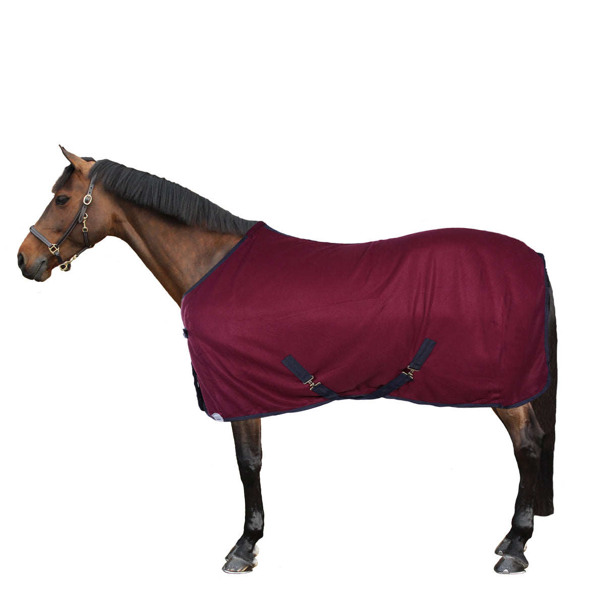 Harry's Horse Coperta in Pile Colours Bordeaux