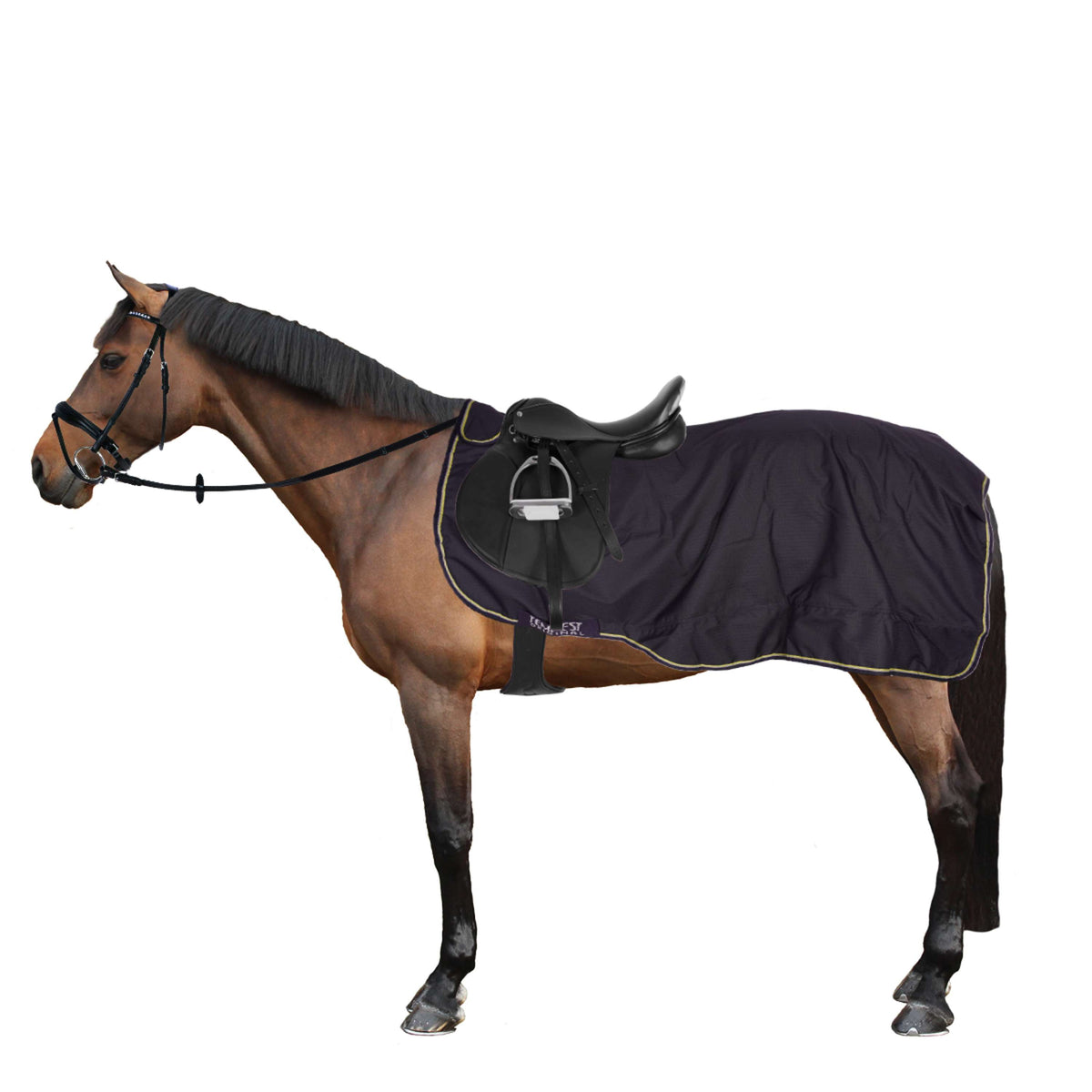 Tempest Original by Shires Coperta da esercizio Exercize Marina