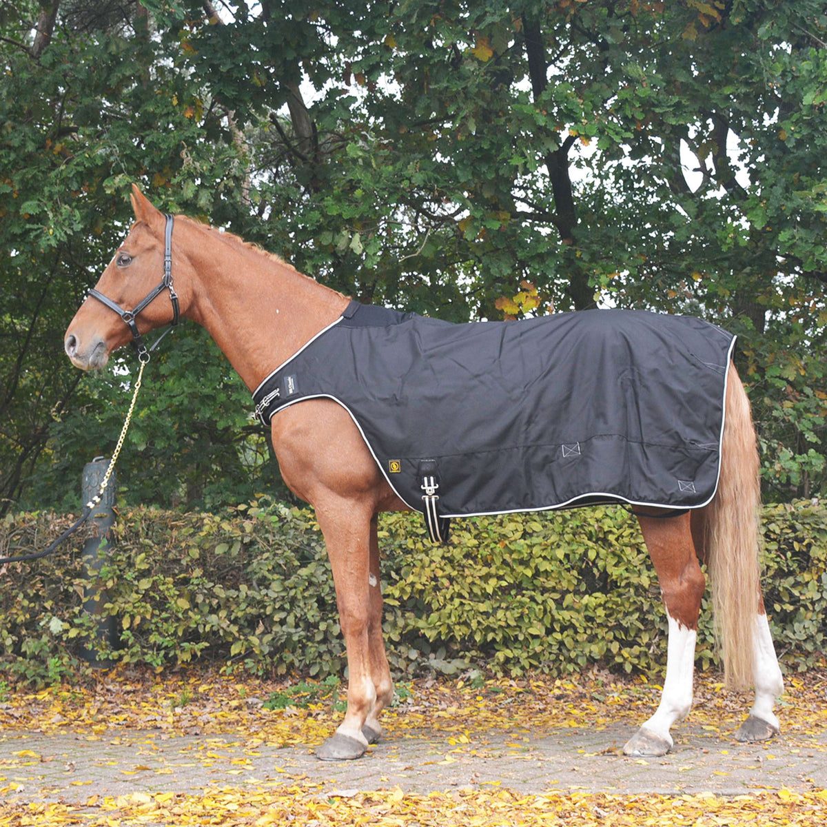 BR Coperta da esercizio Classic Nero