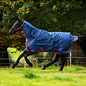 Mio 1 pezzo 350g Self Bound Dark Blue/Red