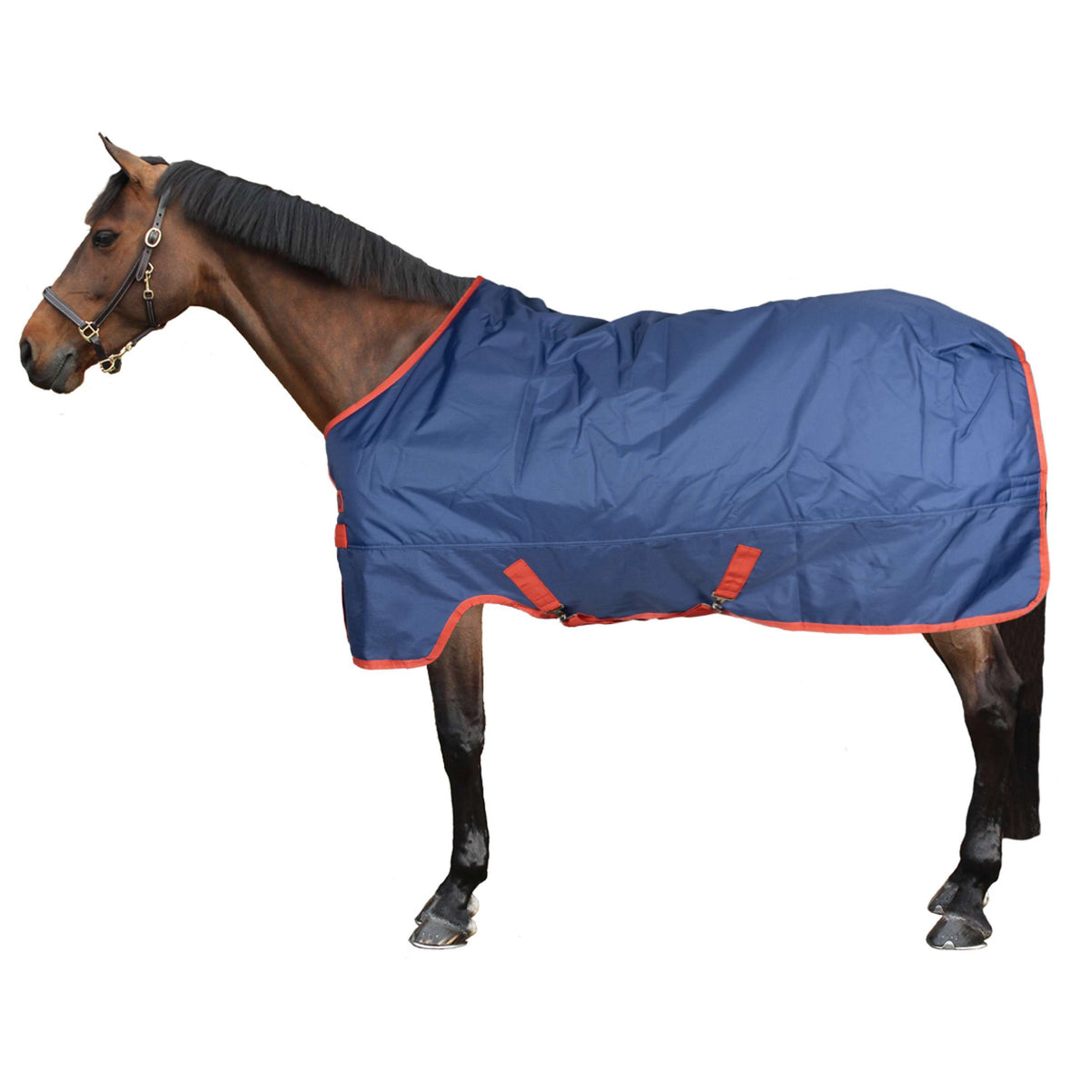 Mio Turnout Lite Dark Blue/Red