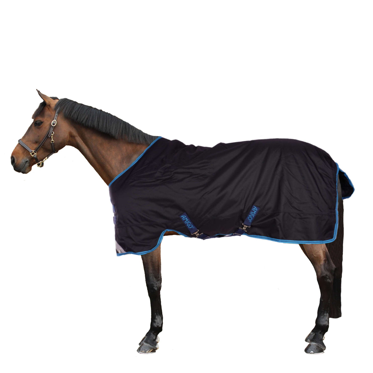 Amigo Bravo Pony Plus Medium Blu marino/Blu elettrico/Blu marino