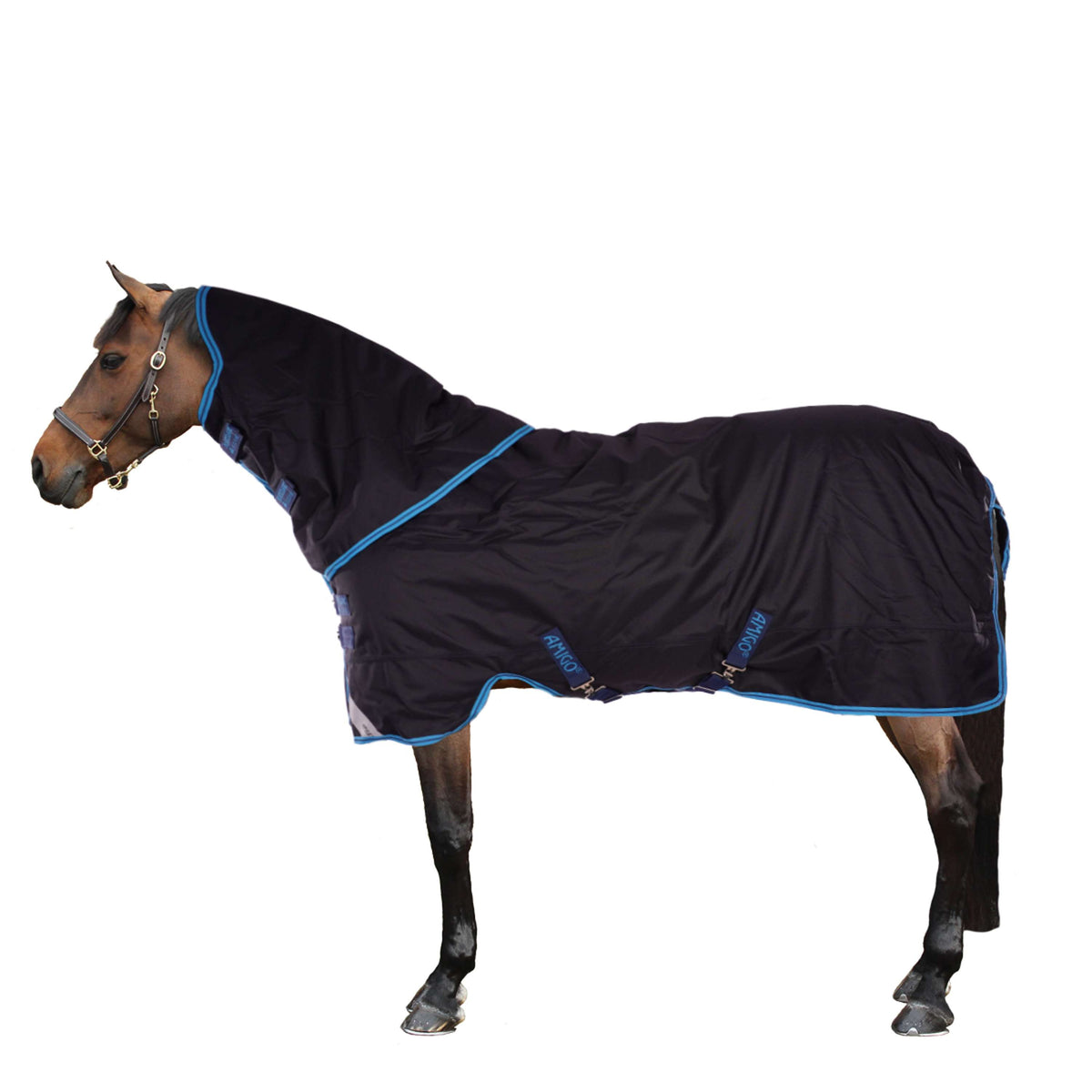 Amigo Bravo Pony Plus Medium Blu marino/Blu elettrico/Blu marino