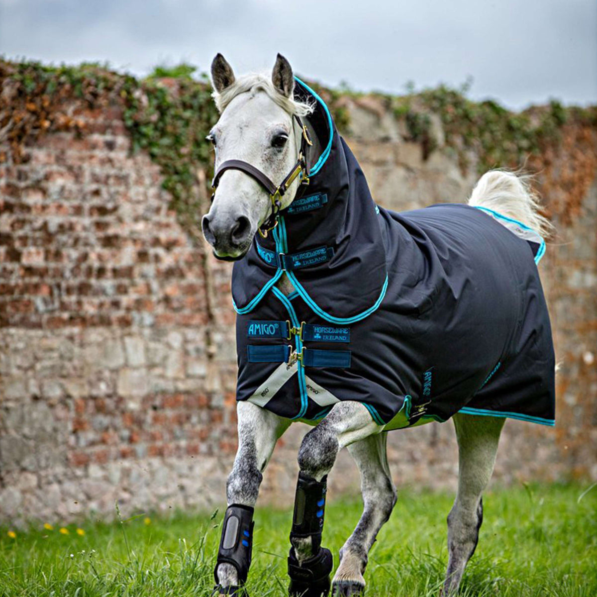 Amigo Bravo Pony Plus Medium Blu marino/Blu elettrico/Blu marino