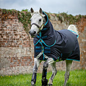 Amigo Bravo Pony Plus Medium Blu marino/Blu elettrico/Blu marino
