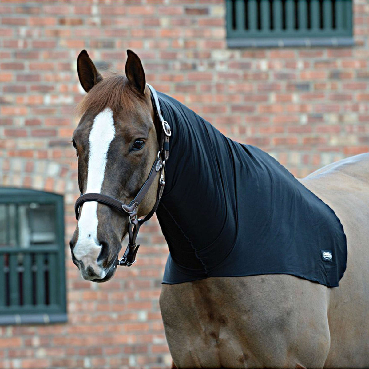 Weatherbeeta Collo indietro Stretch Nero