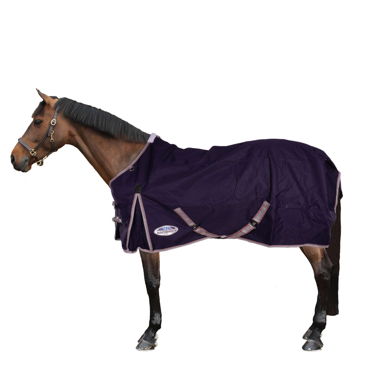 Weatherbeeta Ritorno dell'affluenza alle urne Lite Plus Comfitec Collo standard essenziale Navy/Silver/Red