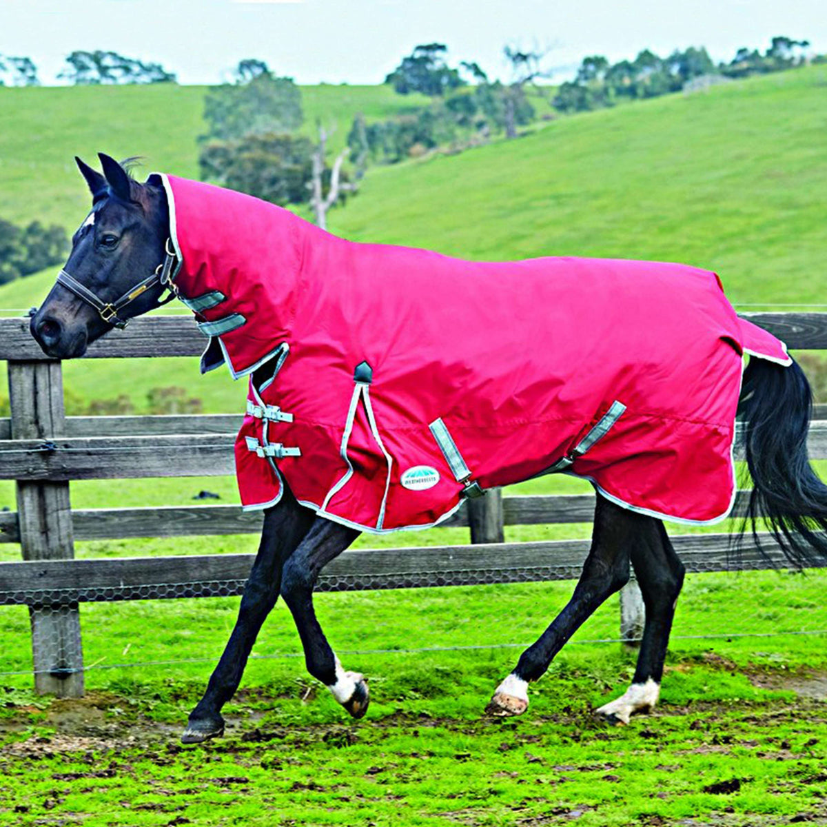 Weatherbeeta Collo combinato posteriore con affluenza pesante Comfitec Classic Red/Silver/Navy