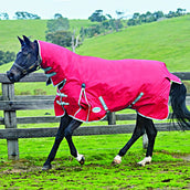 Weatherbeeta Collo combinato posteriore con affluenza pesante Comfitec Classic Red/Silver/Navy