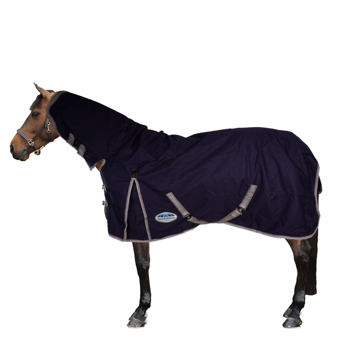 Weatherbeeta Collo combinato posteriore con affluenza pesante Comfitec Essenziale Navy/Silver/Red