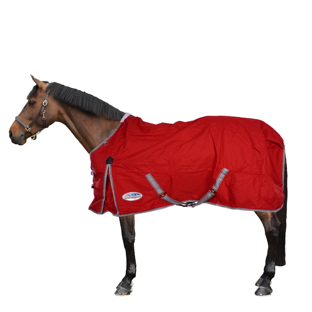 Weatherbeeta Ritorno alla leggera affluenza alle urne Comfitec Manico standard classico Red/Silver/Navy