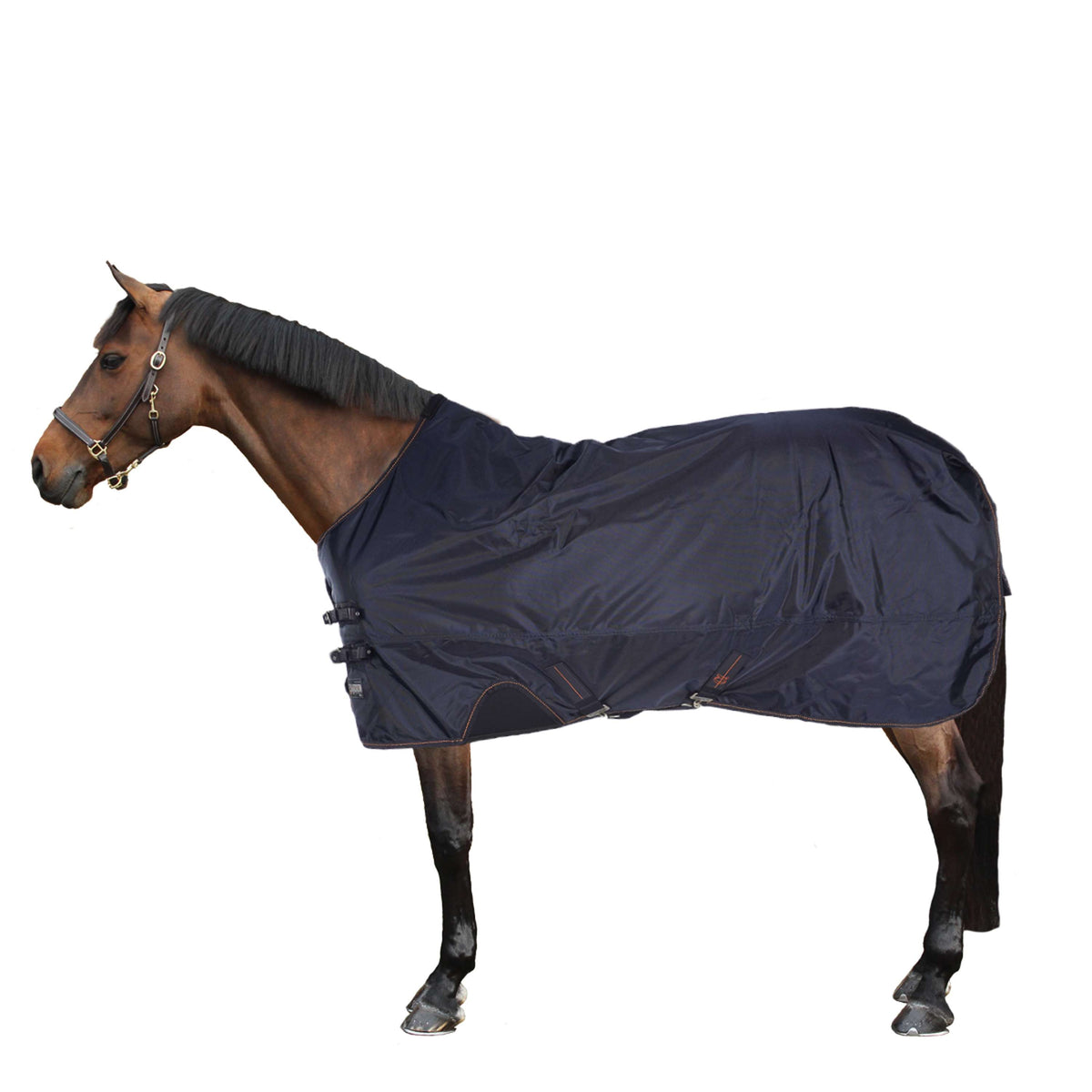 Eskadron Ritorno dell'affluenza alle urne Alpha 1680D 350g Dark Navy
