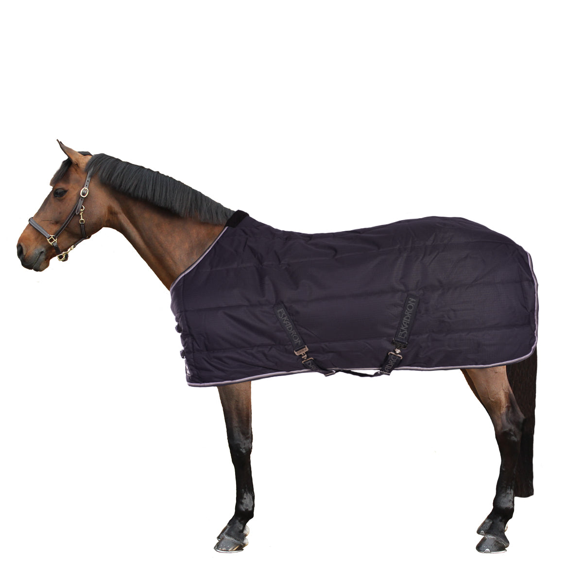 Eskadron Coperta da scuderia Antistrappo 200 g Navy