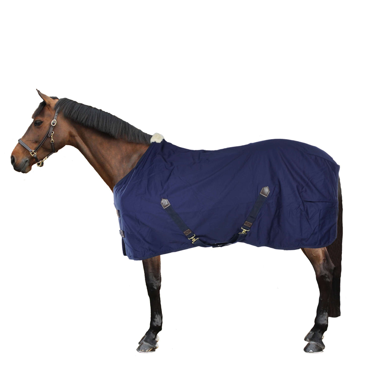 Kentucky Horsewear Coperta di cotone Navy