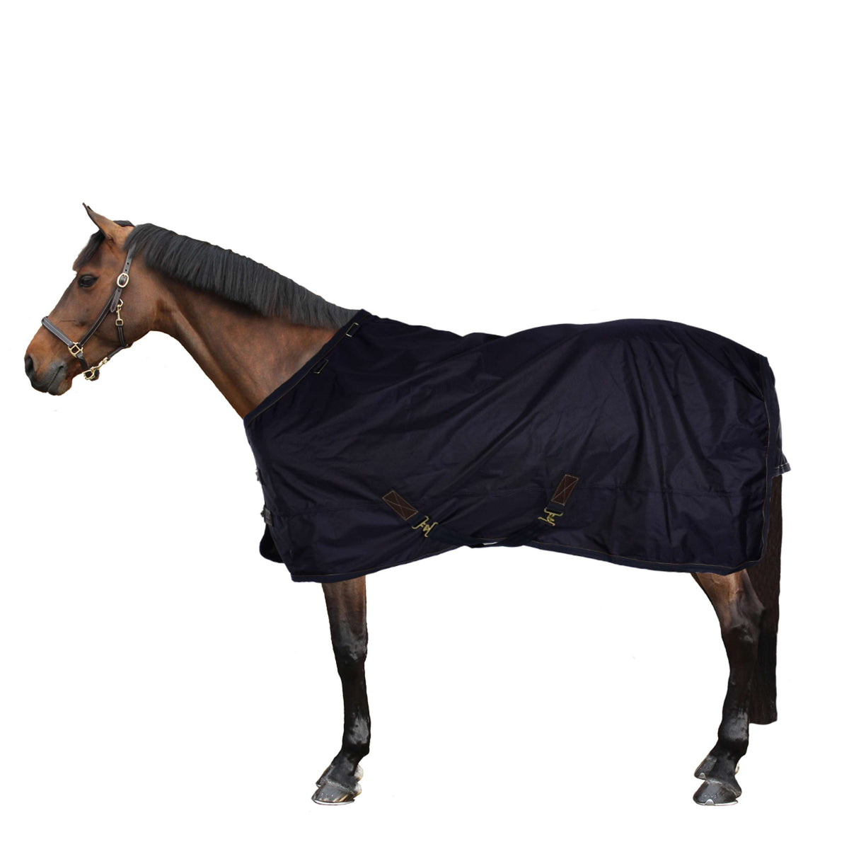 Kentucky Horsewear Ritorno dell'affluenza alle urne Per tutte le stagioni 0g Navy