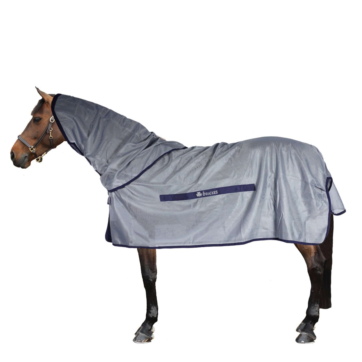 Bucas Ronzio fuori & Neck Blu