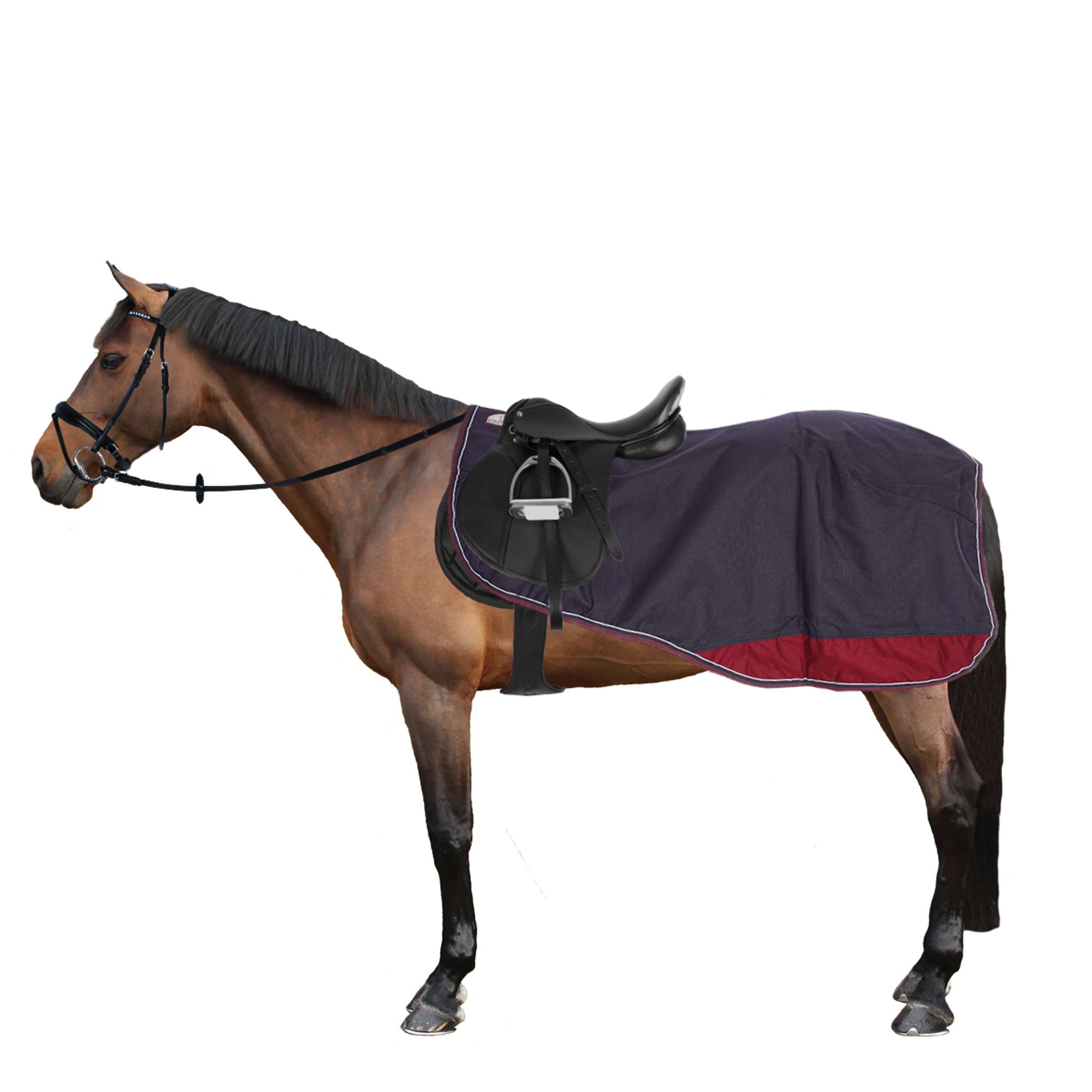 EQUITHÈME Coperta da esercizio Tyrex Pile polare 1200D Navy/Burgundy