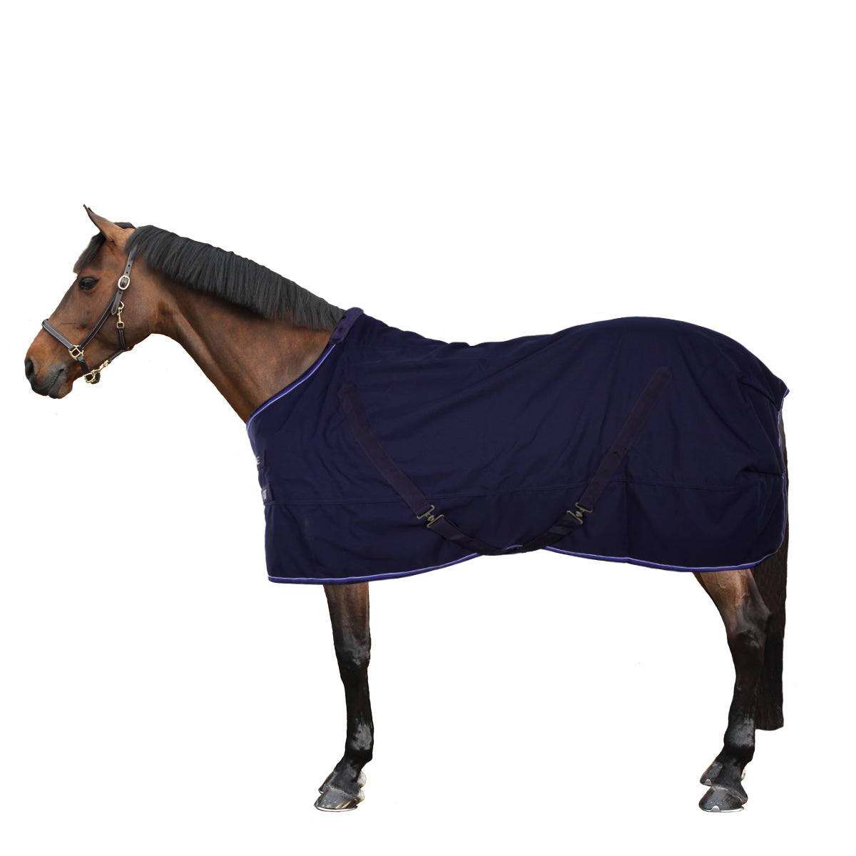 EQUITHÈME Coperta da scuderia 150g Navy