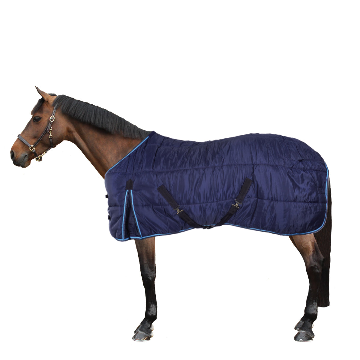 Riding World Coperta da scuderia Blu