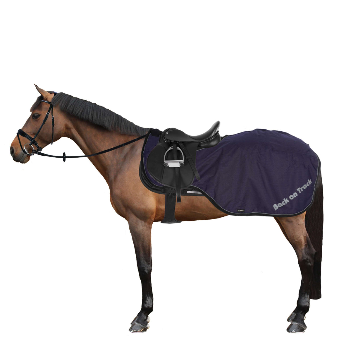 Back on Track Coperta da esercizio Sammy Blu