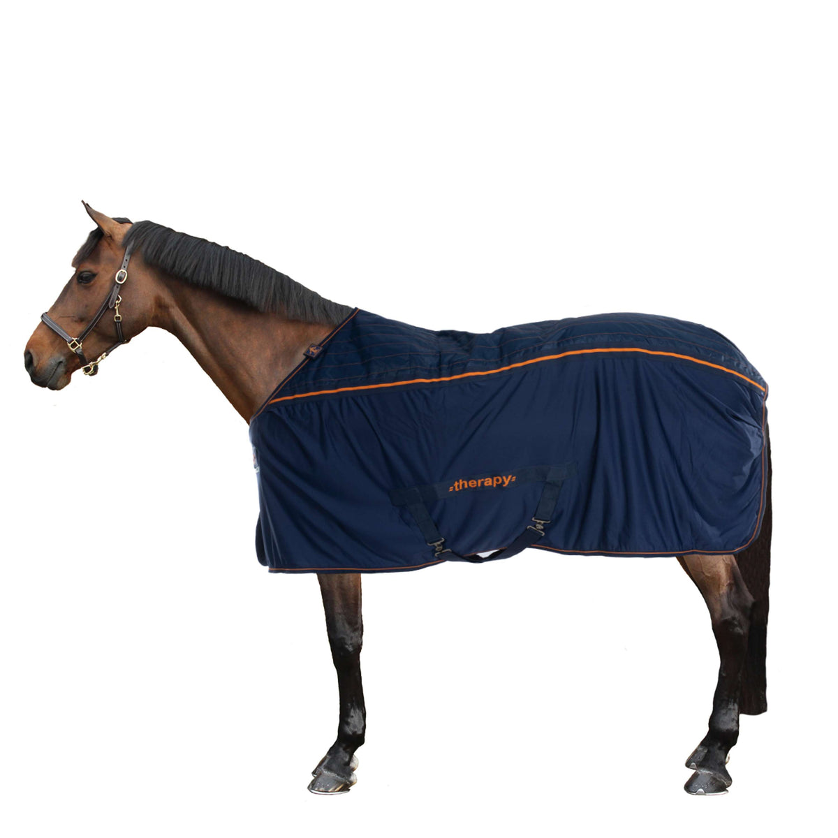 Bucas Therapy Cooler Big Neck Blu marino/arancione