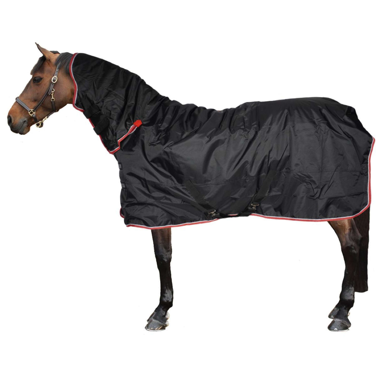 Tempest Original by Shires Turnout Typhoon Combo Nero