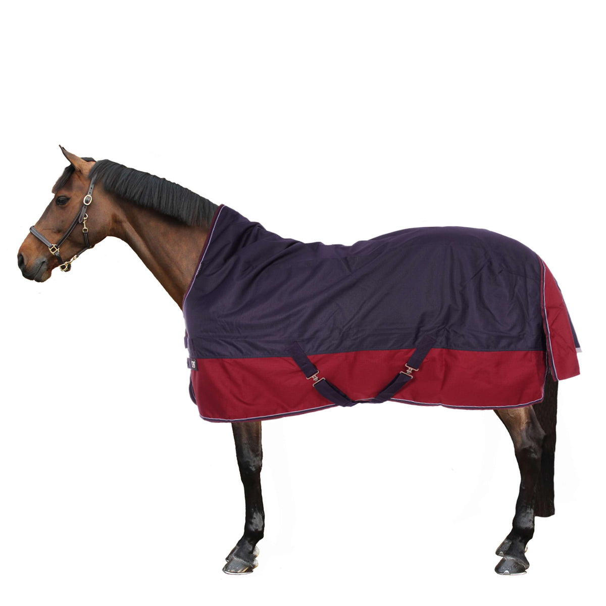 EQUITHÈME Tappeto da Esterno Tyrex 1200D 0g con Mezza Collo Navy/Bordeaux