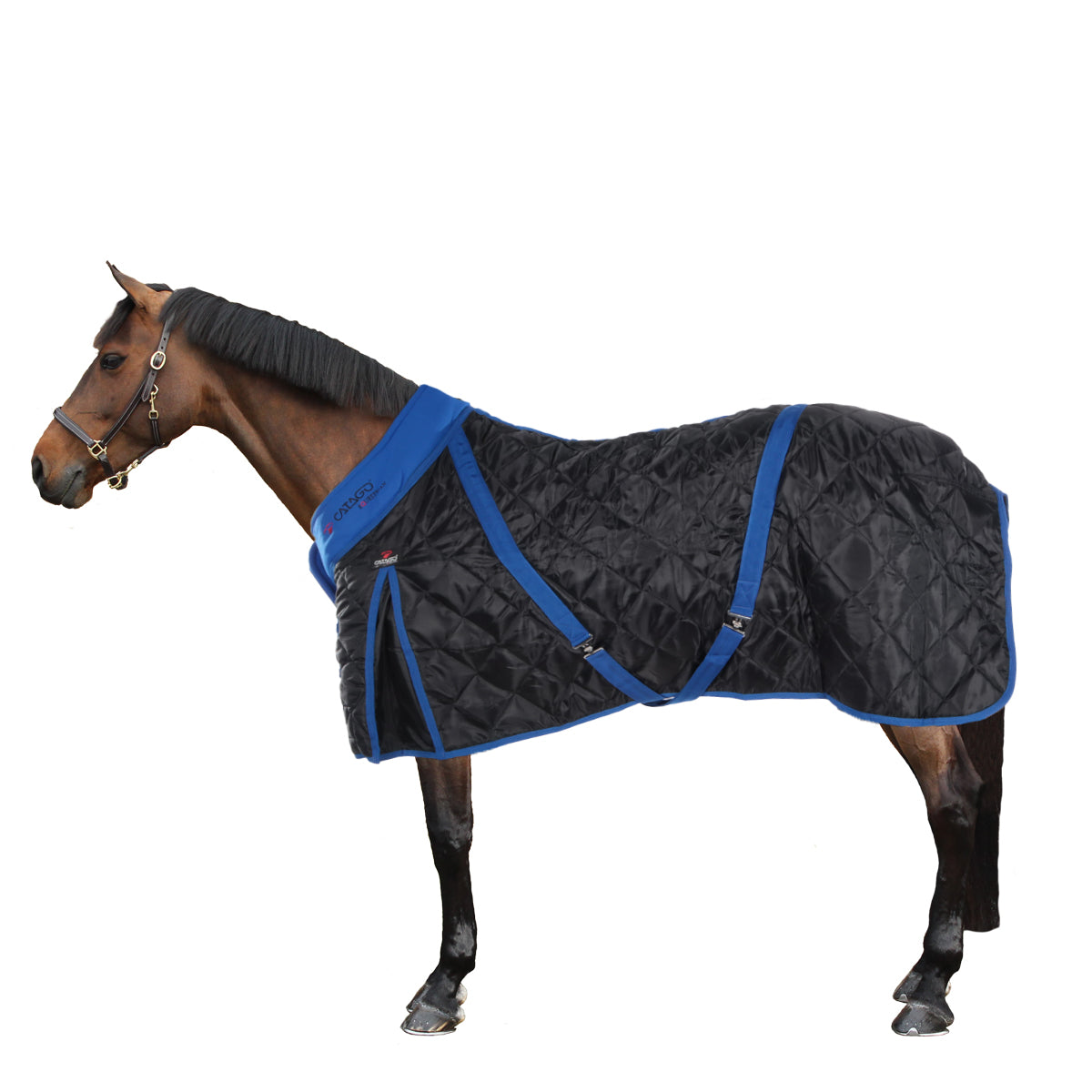 Catago Coperta da scuderia 300g Nero/Blu