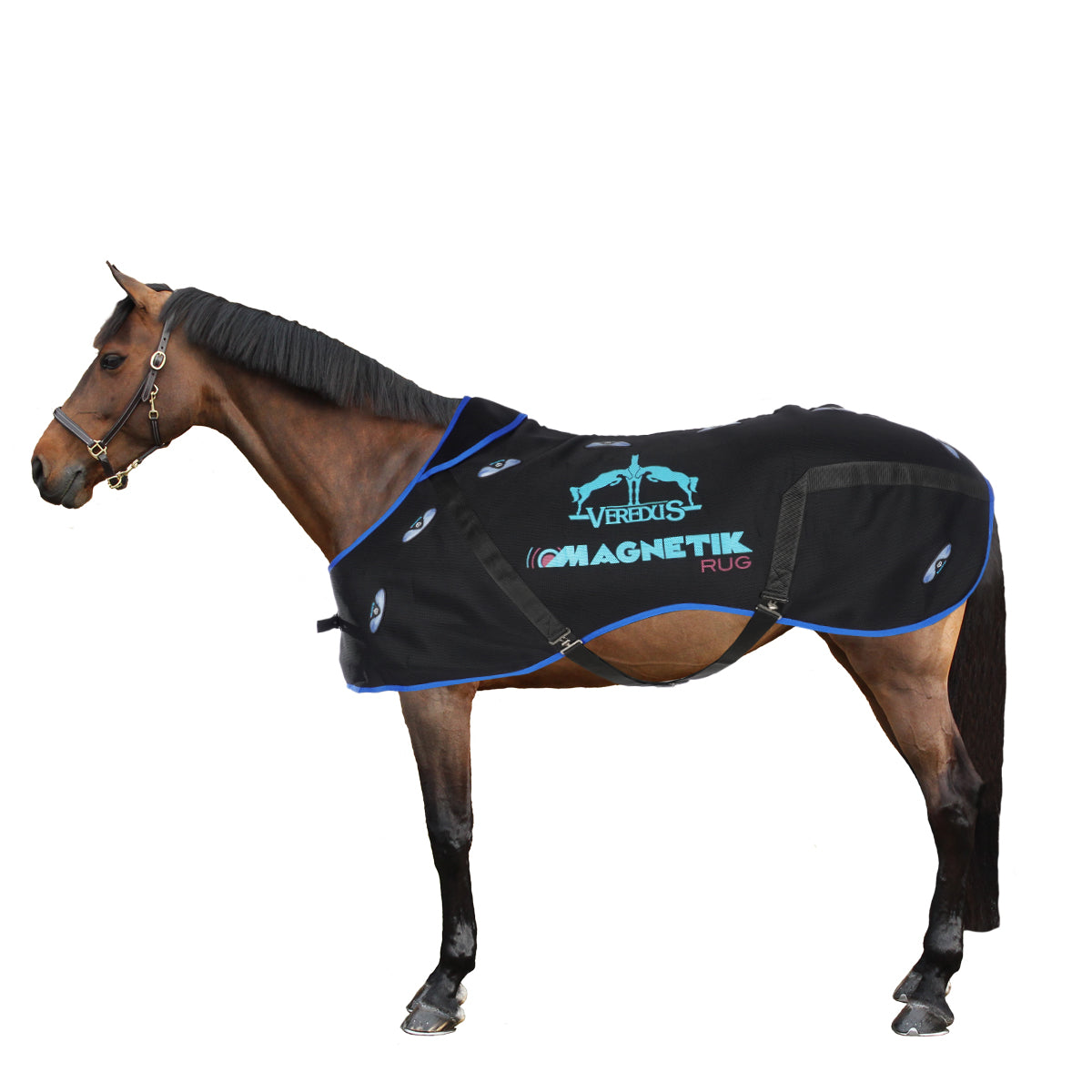 Veredus Coperta Terapeutica Magnetik Rug Nero