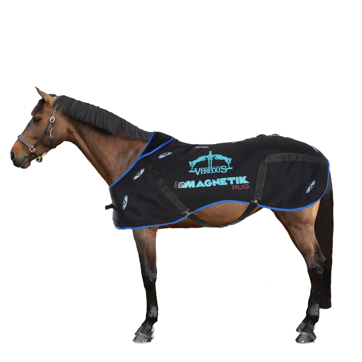 Veredus Coperta Terapeutica Magnetik Rug Nero