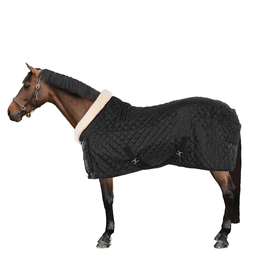 HB Coperta da esposizione Desire160gr Nero