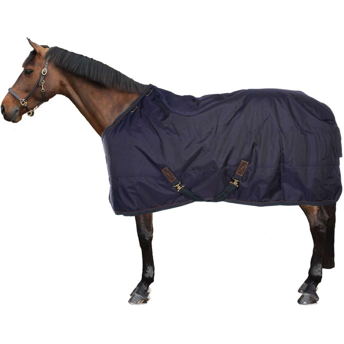 Kentucky Horsewear Turnout All Weather 160g Navy