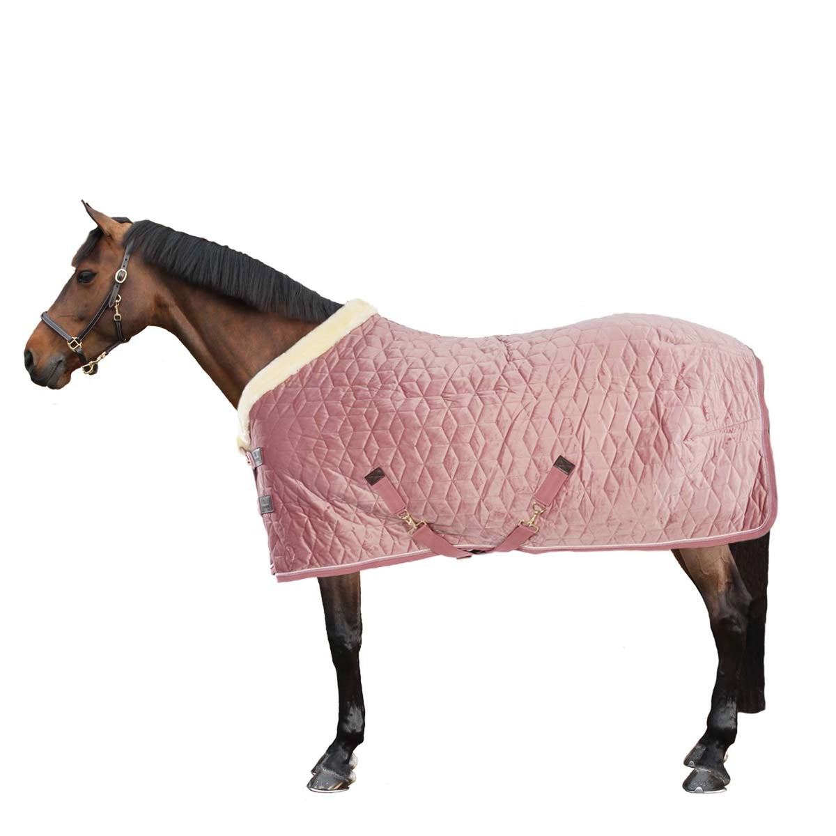 Kentucky Horsewear Coperta da esposizione Velvet Rosa antico