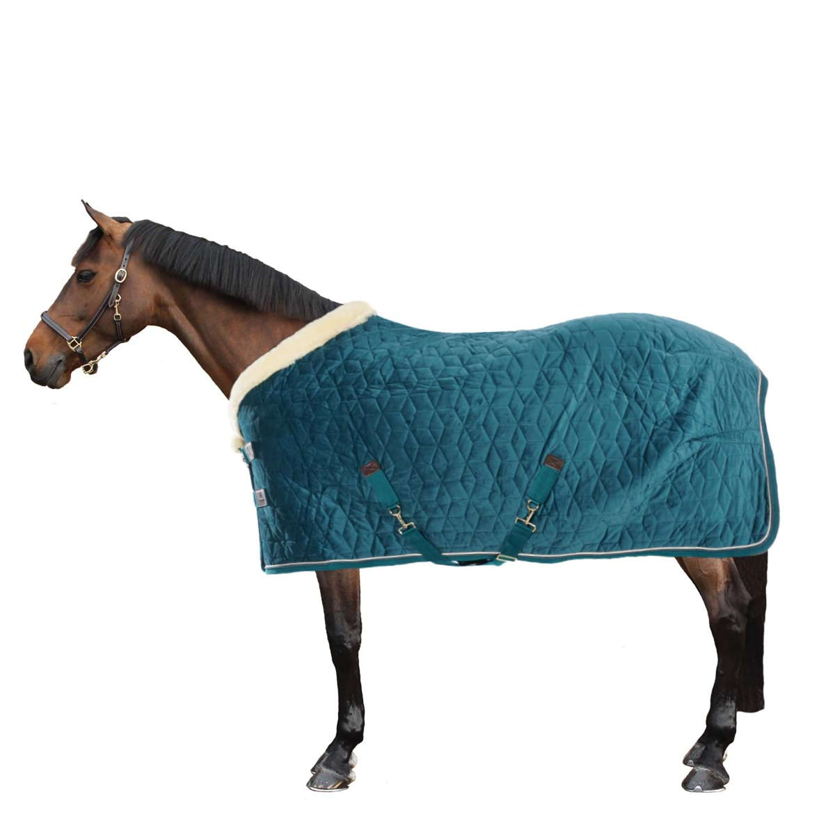 Kentucky Horsewear Coperta da esposizione Velvet Smeraldo