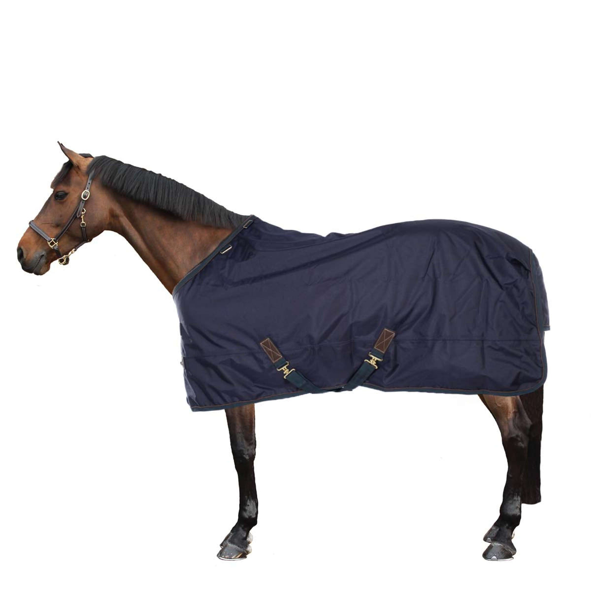 Kentucky Horsewear Ritorno dell'affluenza alle urne All Weather Waterproof Pro 0g Navy