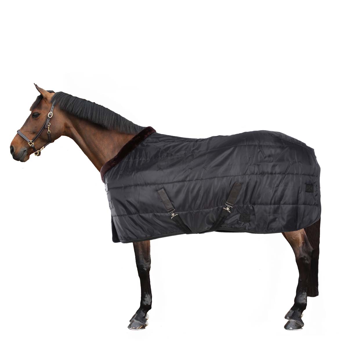 EQUITHÈME Coperta da scuderia Teddy Nero/Marrone