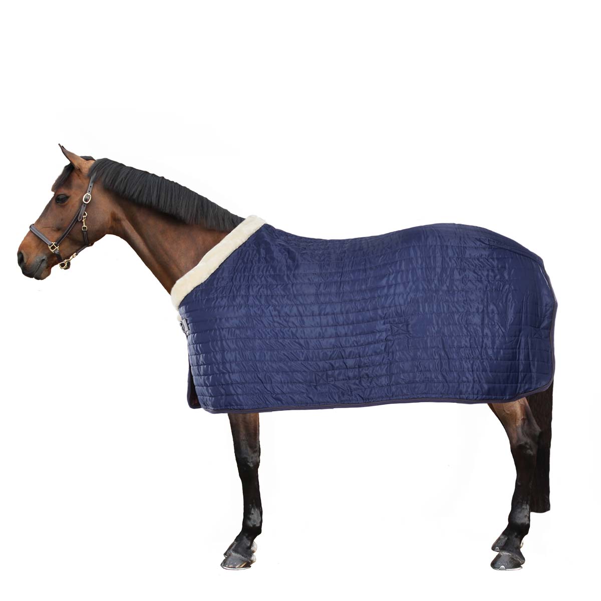 EQUITHÈME Coperta da scuderia Teddy Foderato con Pelle di Pecora Sintetica Navy