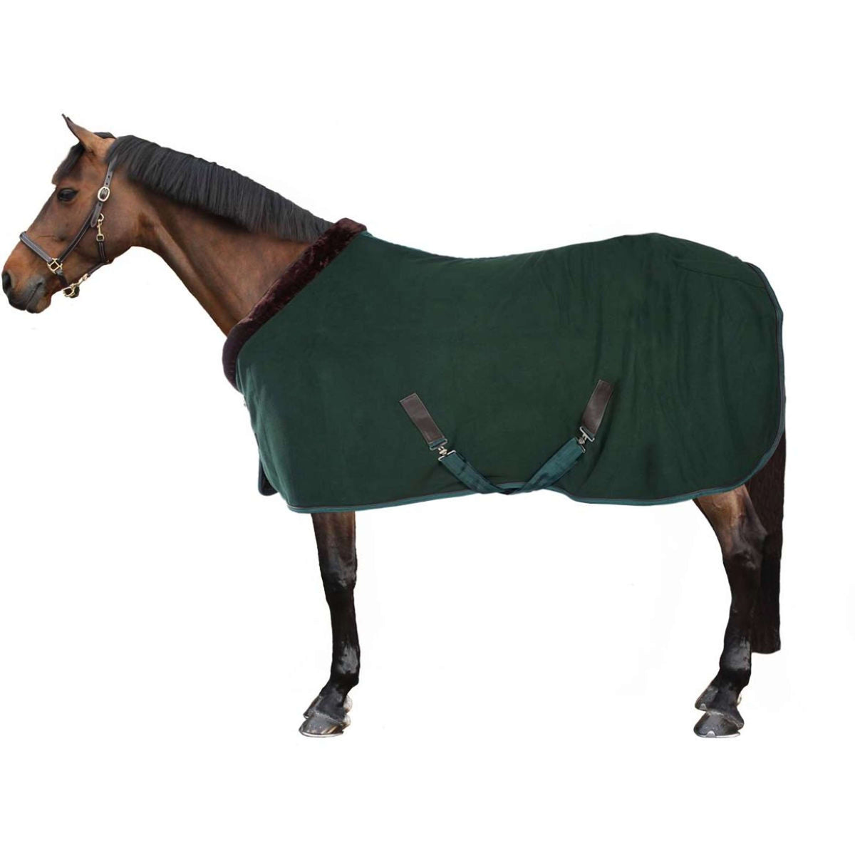 EQUITHÈME Coperta in Pile Teddy Verde/Marrone