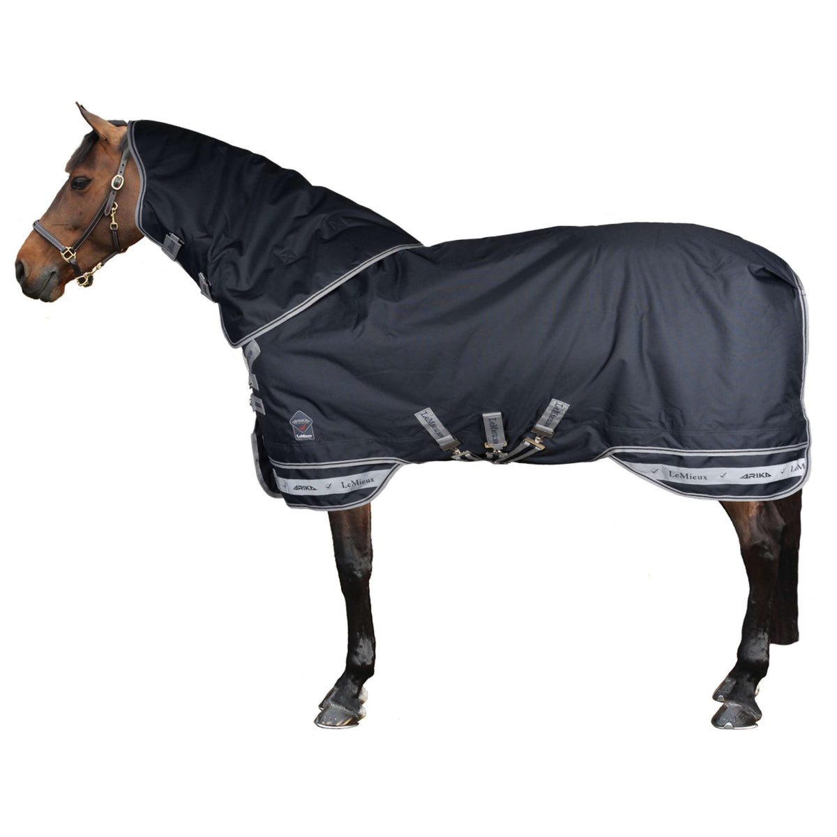LeMieux Tappeto Arika Storm-Tek Turnout 350g Navy