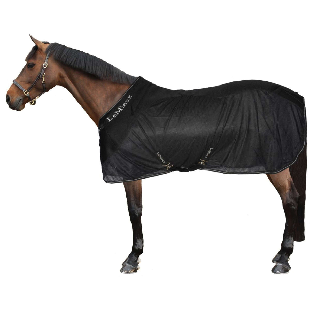 LeMieux Tappeto Arika Mesh Sports Cooler Nero