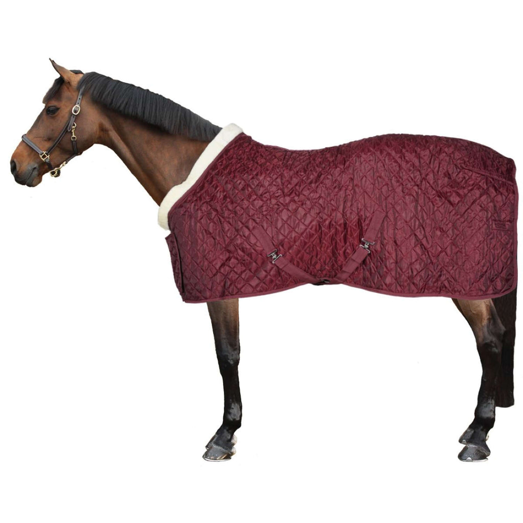 HB Coperta da esposizione Showtime Burgundy Borgogna