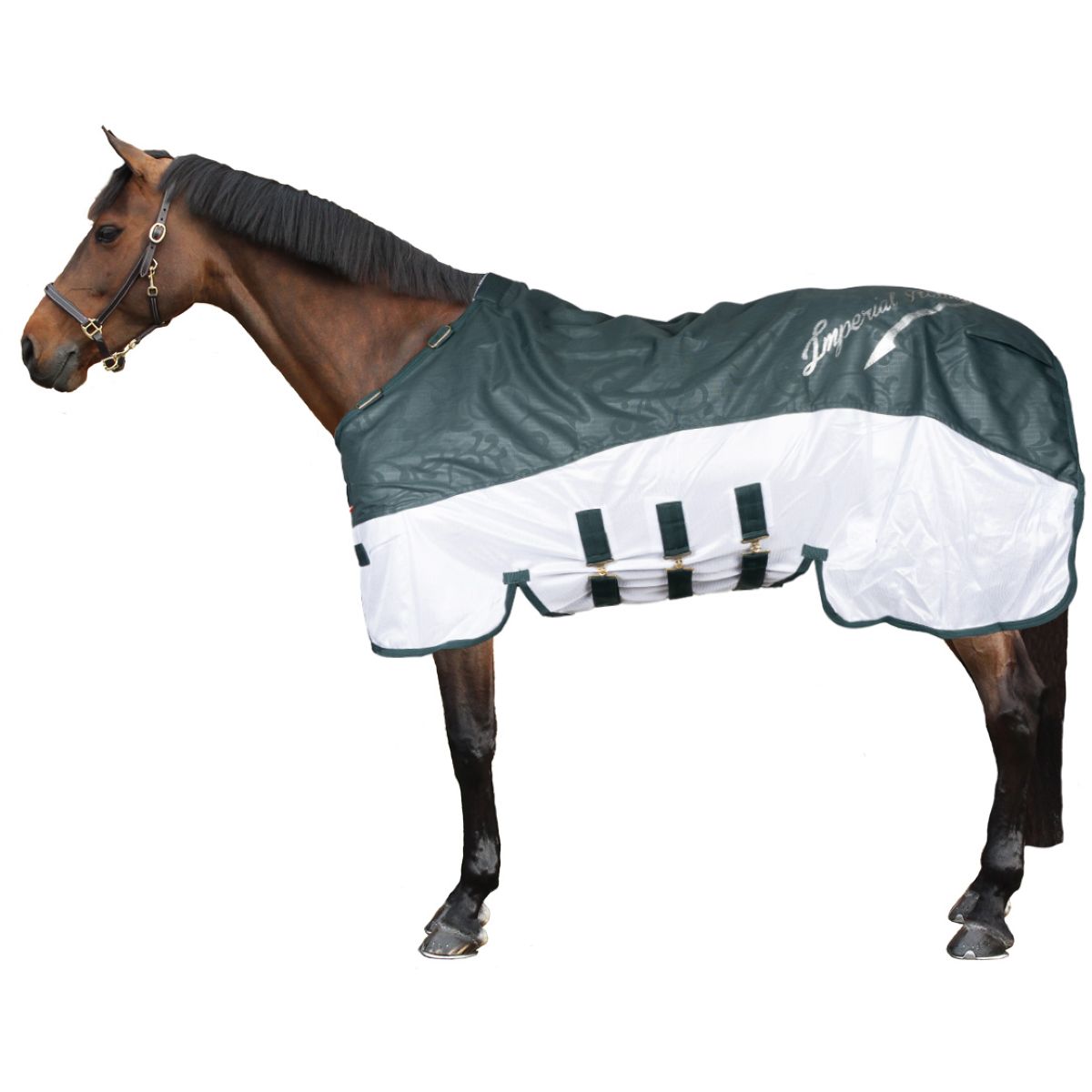 Imperial Riding Mosca e Coperta Antipioggia IRHSuper-Dry Verde foresta