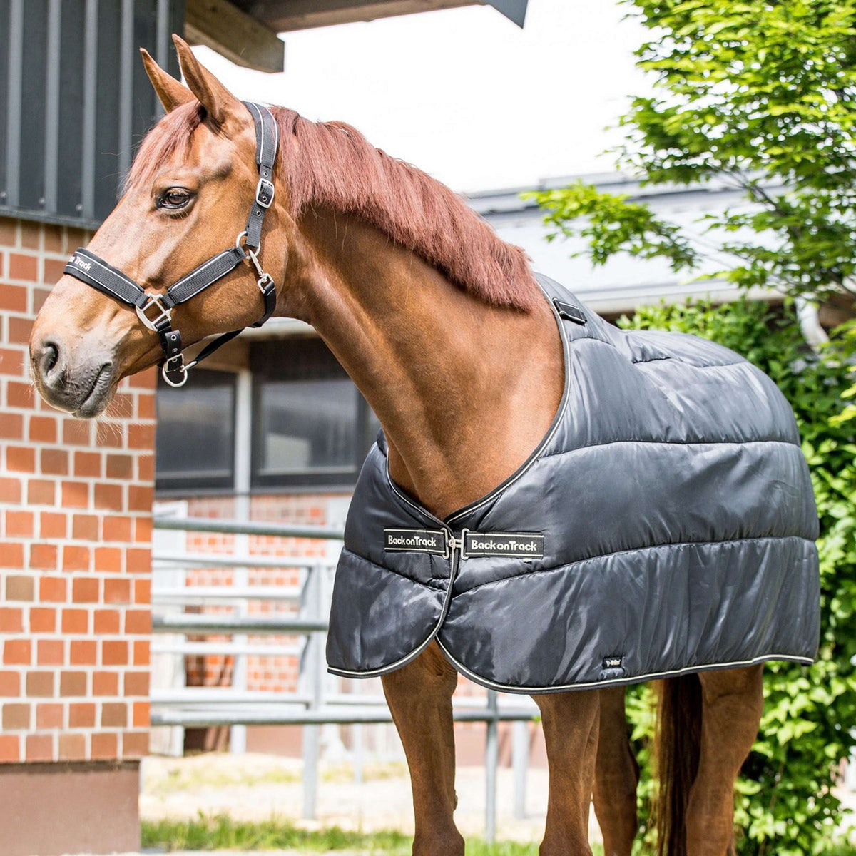 Back on Track Sottocoperta Rhyolite Insulated Liner 100g Nero