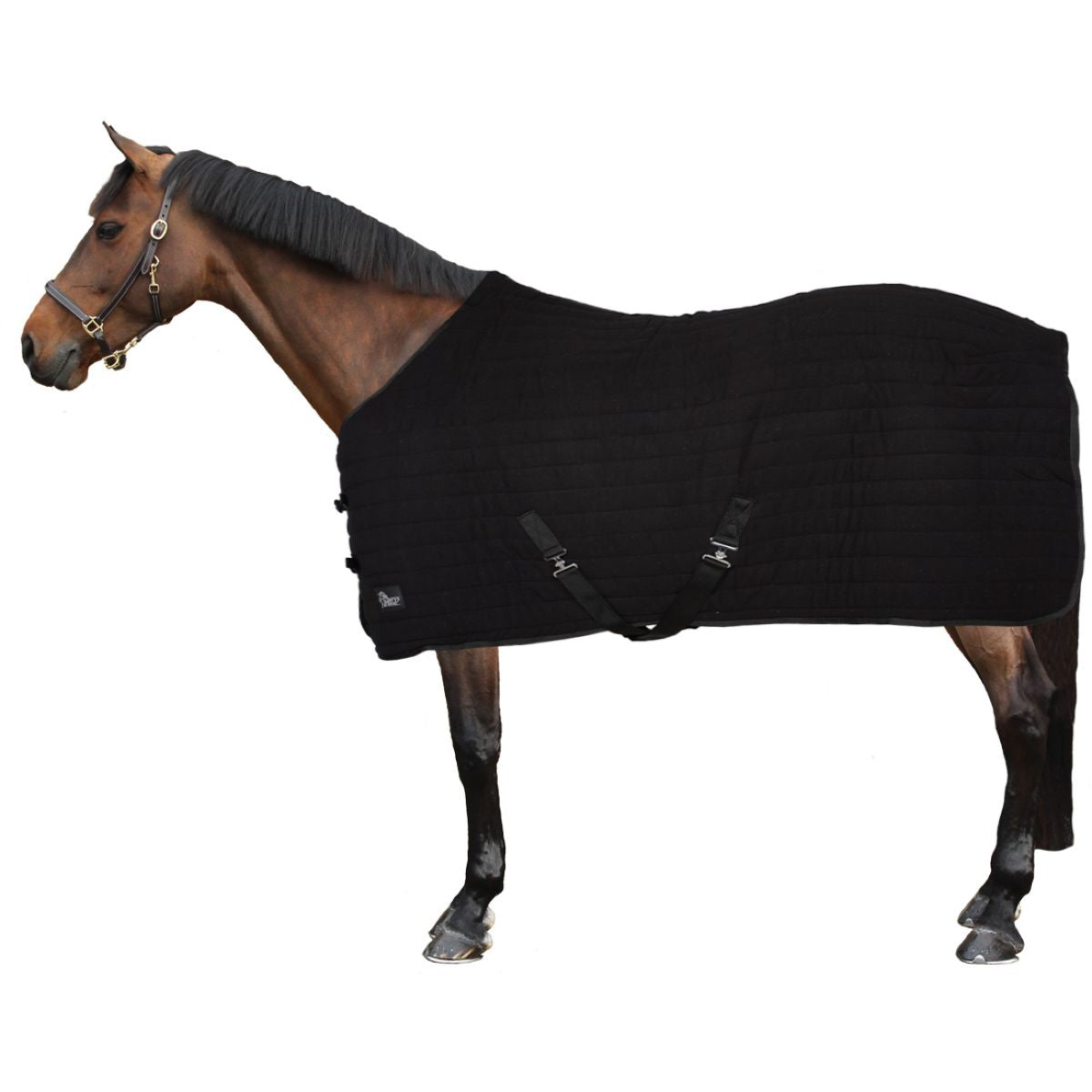 Harry's Horse Sottocoperta Powerliner Nero