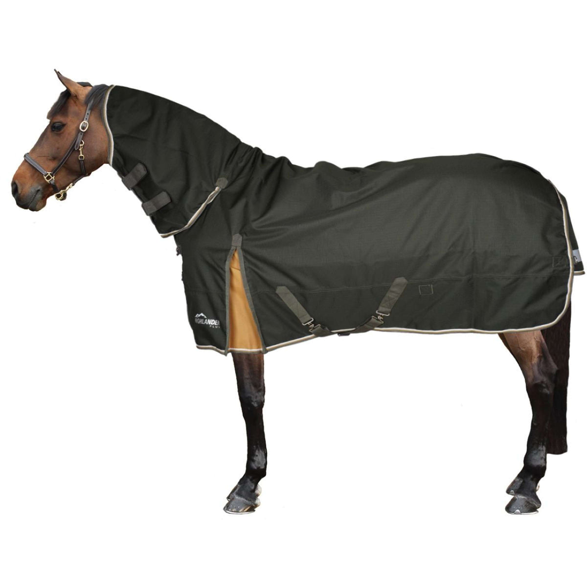 Highlander Plus by Shires Coperta Invernale Combo 50g Verde