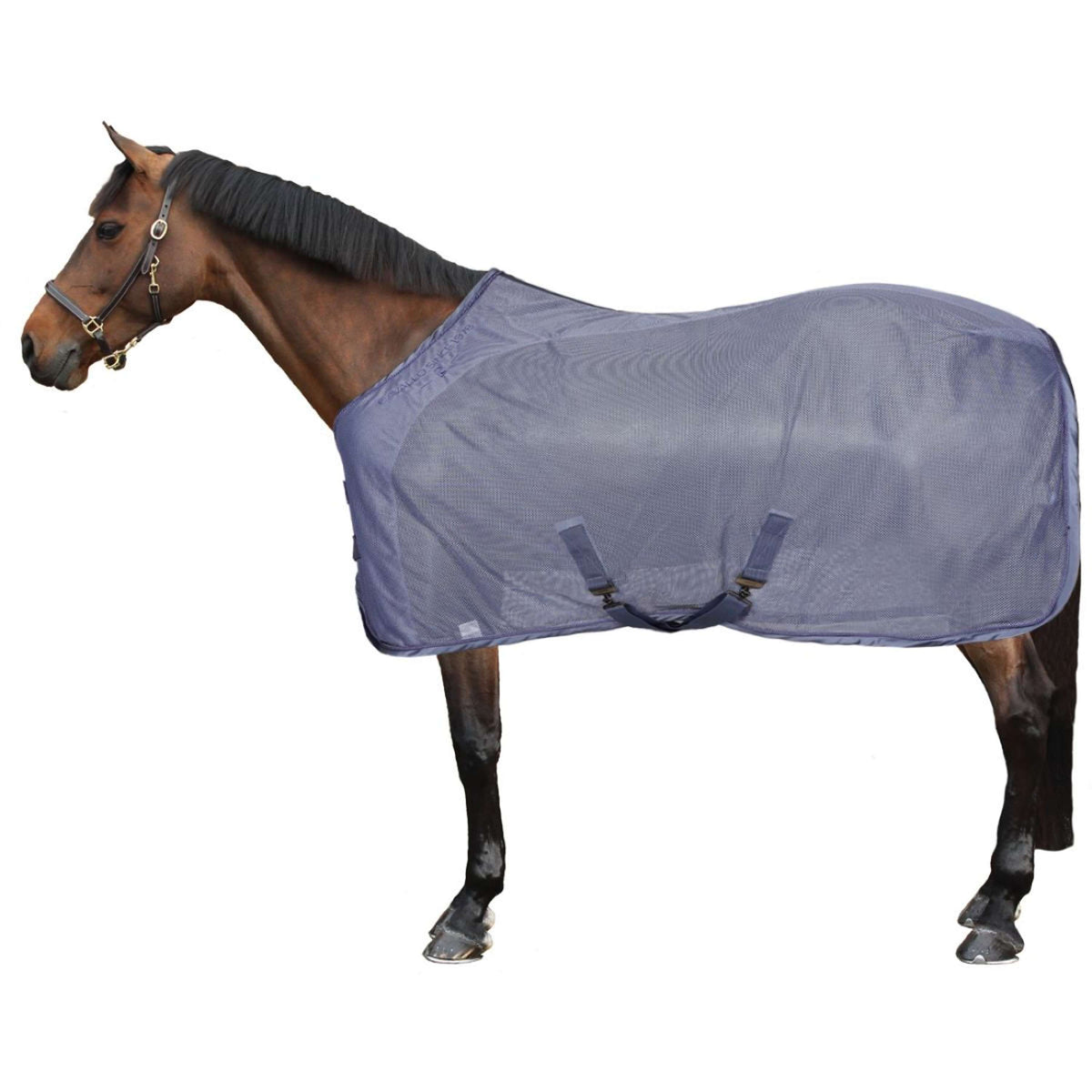 Cavallo Coperta antimosche CavalJanna Blu notte