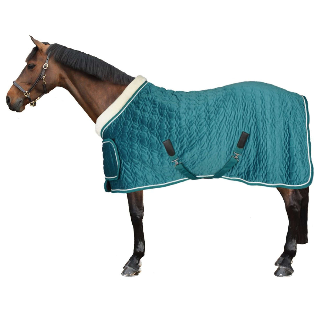 HB Ruitersport Coperta da esposizione Tropical Smaragd Green