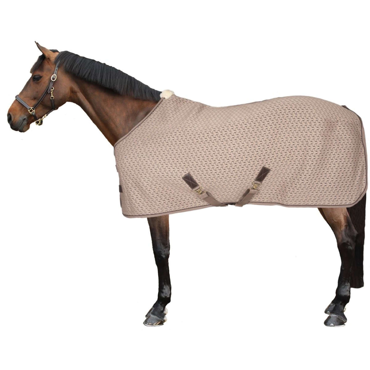 Kentucky Horsewear Coperta antisudore 4D Spacer Beige